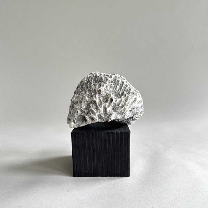 Jikoku Wood Base