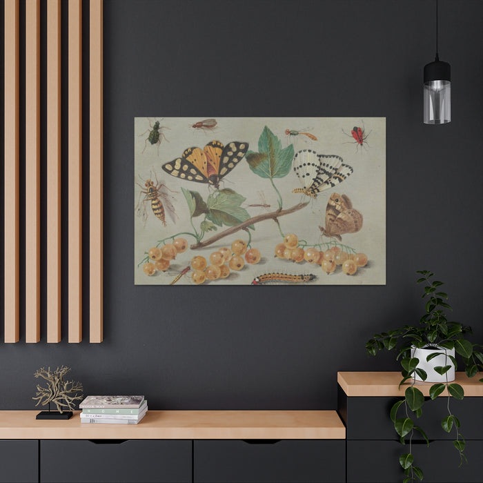 HYGGE CAVE | STUDY OF BUTTERFLY AND INSECTS