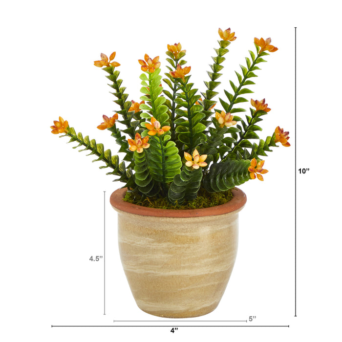 HYGGE CAVE | 10” FLOWERING SEDUM SUCCULENT ARTIFICIAL PLANT IN CERAMIC PLANTER