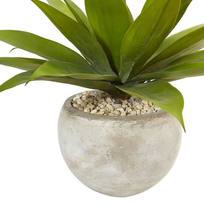 AGAVE IN SAND COLORED BOWL