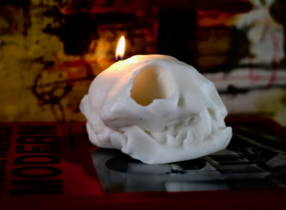 HYGGE CAVE | MAINE BOBCAT SKULL CANDLE
