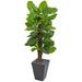 HYGGE CAVE | 5’ LARGE LEAF PHILODENDRON ARTIFICIAL PLANT IN SLATE PLANTER (REAL TOUCH)