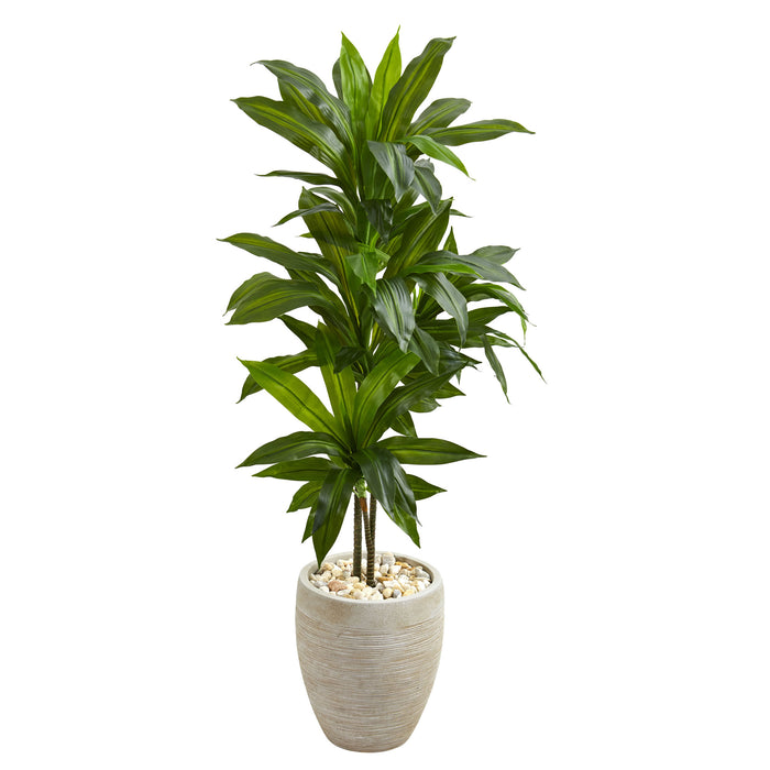 HYGGE CAVE | 4’ DRACAENA ARTIFICIAL PLANT IN SAND COLORED PLANTER (REAL TOUCH)