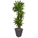 HYGGE CAVE | 5.5’ CORNSTALK DRACAENA ARTIFICIAL PLANT IN SLATE PLANTER (REAL TOUCH)