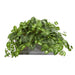 NEPTHYTIS ARTIFICIAL PLANT IN STONE PLANTER - HYGGE CAVE