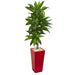 HYGGE CAVE | 5’ DRACAENA ARTIFICIAL PLANT IN RED PLANTER (REAL TOUCH)