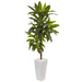 HYGGE CAVE | 3’ DRACAENA PLANT IN WHITE TOWER PLANTER