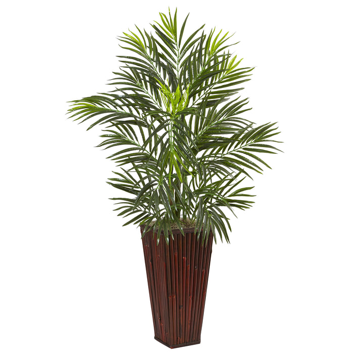 HYGGE CAVE | ARECA PALM IN BAMBOO PLANTER