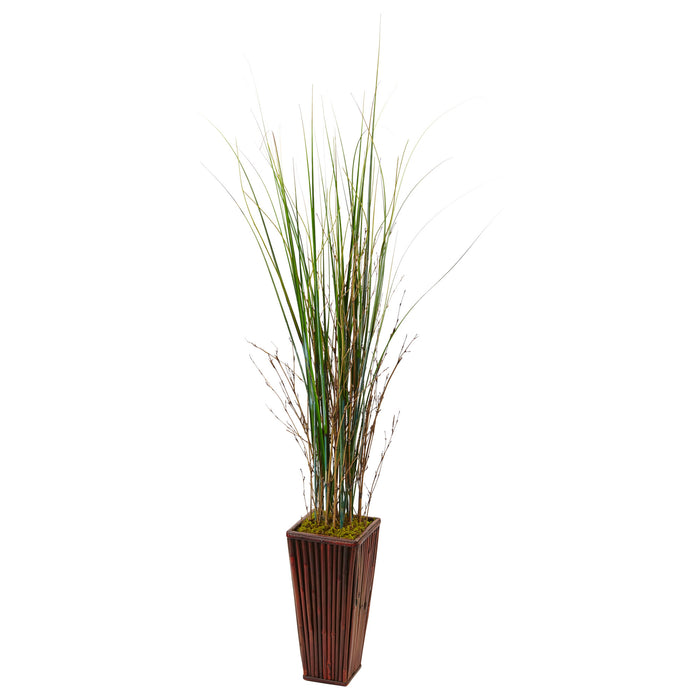 HYGGE CAVE | BAMBOO GRASS IN BAMBOO PLANTER