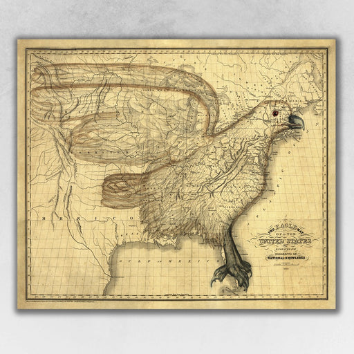 HYGGE CAVE | EAGLE MAP OF AMERICA