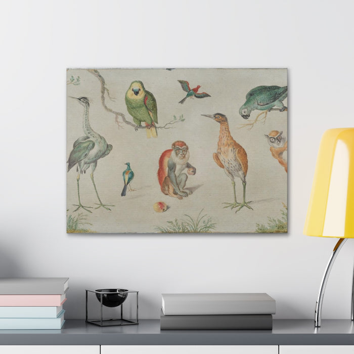HYGGE CAVE | STUDY OF BIRDS AND MONKEY 2