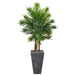 63” ARECA ARTIFICIAL PALM TREE IN CEMENT PLANTER (REAL TOUCH) - HYGGE CAVE