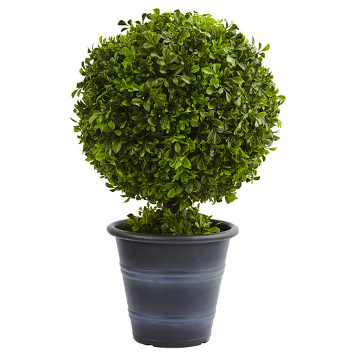 HYGGE CAVE | 23” BOXWOOD BALL TOPIARY