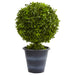 HYGGE CAVE | 23” BOXWOOD BALL TOPIARY