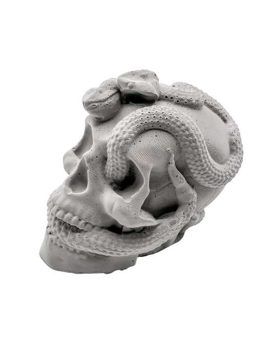 HYGGE CAVE | Skull and Snake sculpture