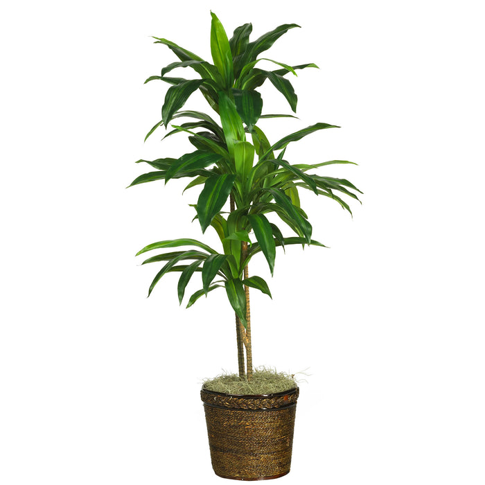 HYGGE CAVE | 48" DRACAENA W/BASKET SILK PLANT (REAL TOUCH)