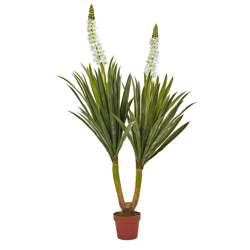 HYGGE CAVE | 57” FLOWERING YUCCA PLANT
