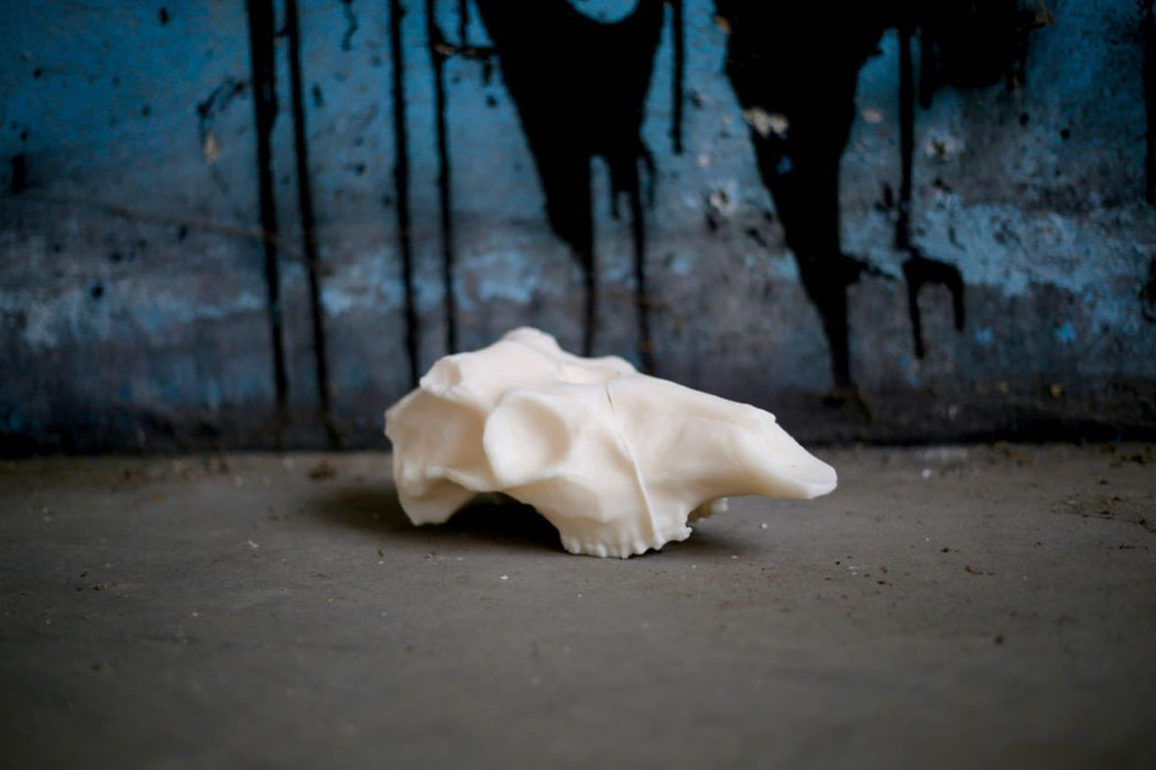 HYGGE CAVE | DEER SKULL SOY CANDLE