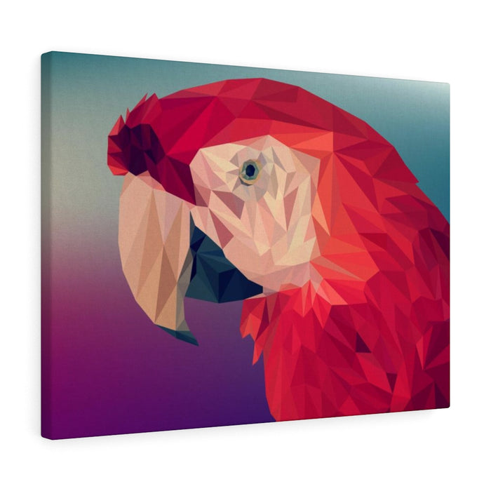 HYGGE CAVE | Poly Parrot | Showcase of Great Low Poly Art
