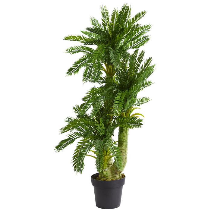 HYGGE CAVE | TRIPLE POTTED CYCAS ARTIFICIAL PLANT
