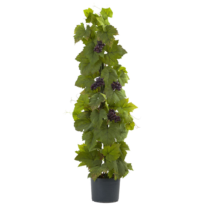 HYGGE CAVE | 40’ GRAPE LEAF DELUXE CLIMBING PLANT