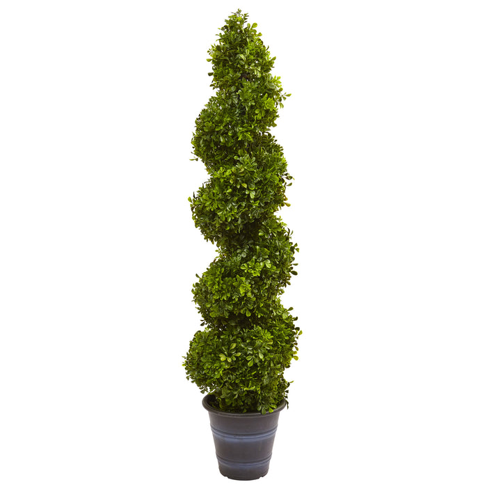 HYGGE CAVE | BOXWOOD SPIRAL TOPIARY WITH PLANTER