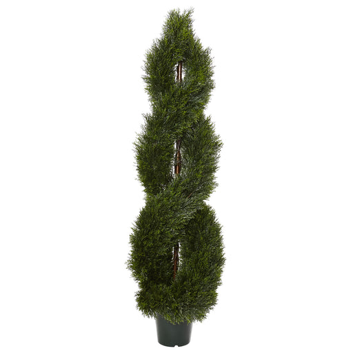 HYGGE CAVE | POND CYPRESS SPIRAL TOPIARY