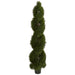 HYGGE CAVE | CYPRESS SPIRAL TOPIARY