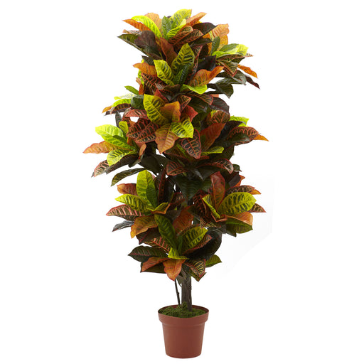 HYGGE CAVE | 56” CROTON PLANT (REAL TOUCH)