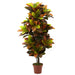 HYGGE CAVE | 56” CROTON PLANT (REAL TOUCH)