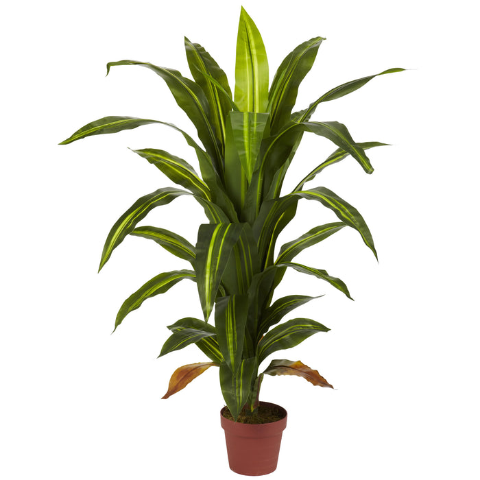 HYGGE CAVE | 4' DRACAENA SILK PLANT (REAL TOUCH)