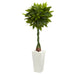 HYGGE CAVE | MONEY ARTIFICIAL TREE IN WHITE TOWER PLANTER