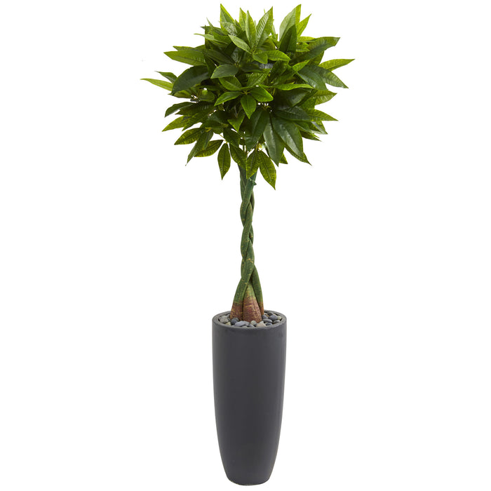 HYGGE CAVE | MONEY ARTIFICIAL TREE IN GRAY CYLINDER PLANTER