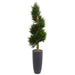 HYGGE CAVE | SPIRAL CYPRESS ARTIFICIAL TREE IN CYLINDER PLANTER