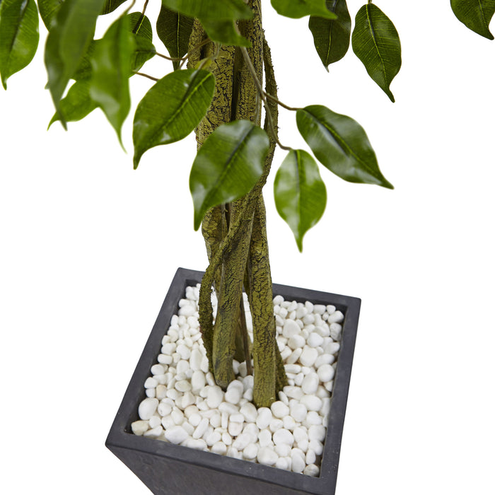 HYGGE CAVE | FICUS TREE WITH SLATE PLANTER