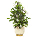 HYGGE CAVE | 26” STEPHANOTIS ARTIFICIAL PLANT IN WHITE DESIGNER BOWL