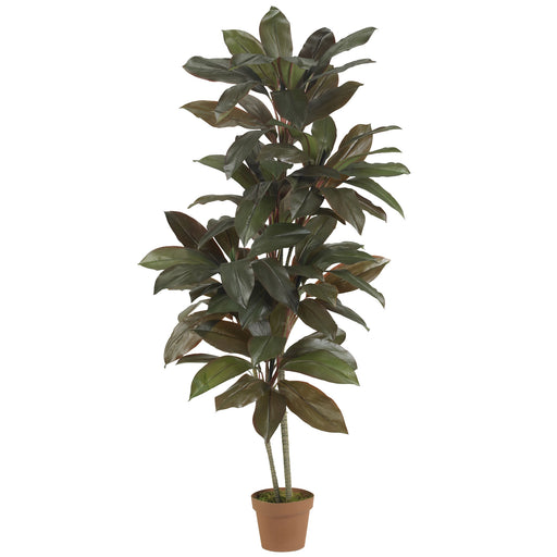 HYGGE CAVE | 5' CORDYLINE SILK PLANT (REAL TOUCH)