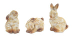 Adorable terracotta rabbit figurines, perfect for your garden decor. Set of 6 adds charm to your outdoor space.