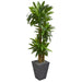 HYGGE CAVE | CORNSTALK DRACAENA ARTIFICIAL PLANT