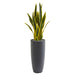 HYGGE CAVE | 3’ SANSEVIERIA ARTIFICIAL PLANT IN GRAY BULLET PLANTER