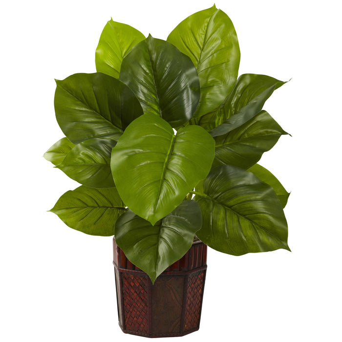 HYGGE CAVE | LARGE LEAF PHILODENDRON W/DECORATIVE PLANTER