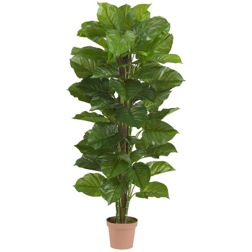 HYGGE CAVE | 63" LARGE LEAF PHILODENDRON SILK PLANT (REAL TOUCH)