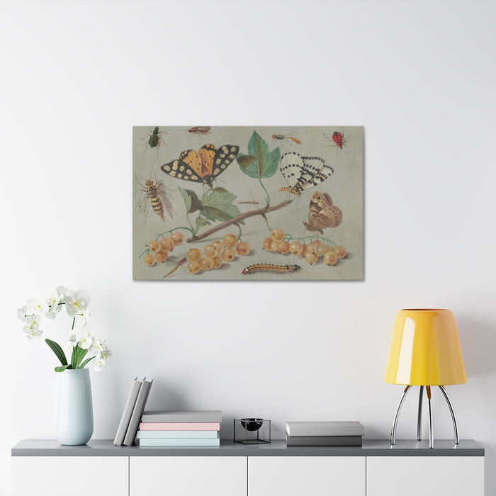 HYGGE CAVE | STUDY OF BUTTERFLY AND INSECTS