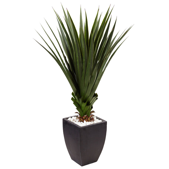 4.5’ SPIKED AGAVE IN BLACK PLANTER (INDOOR/OUTDOOR)