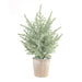 potted icy pine tree - hygge cave