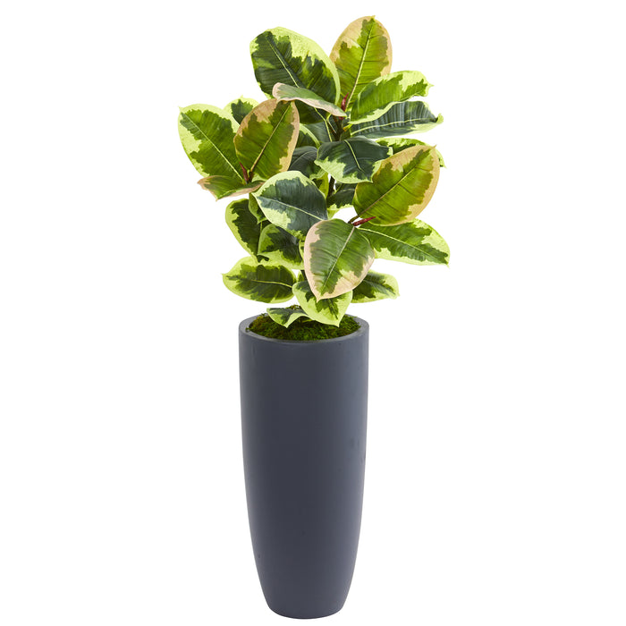HYGGE CAVE | RUBBER LEAF ARTIFICIAL PLANT IN GRAY PLANTER