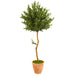 HYGGE CAVE | OLIVE TOPIARY ARTIFICIAL TREE