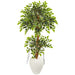 HYGGE CAVE | VARIEGATED FICUS ARTIFICIAL TREE IN WHITE PLANTER