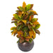 HYGGE CAVE | CROTON ARTIFICIAL PLANT IN METAL BOWL