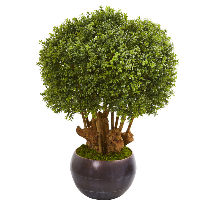 HYGGE CAVE | BOXWOOD ARTIFICIAL TOPIARY TREE